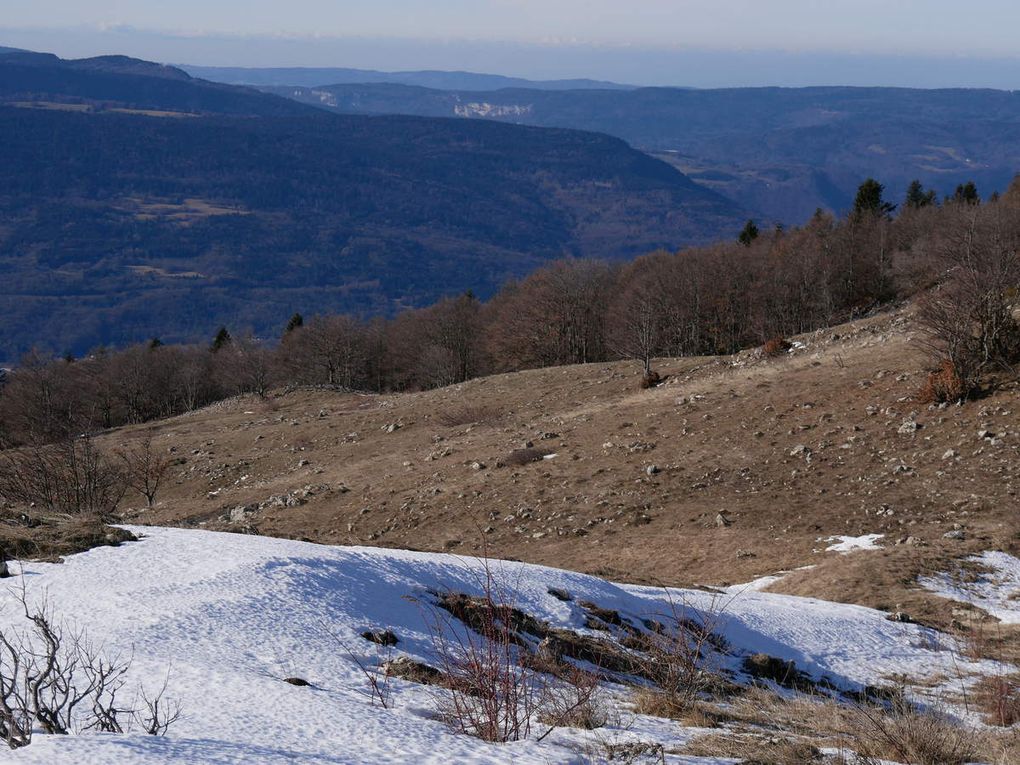 Crêt de la Goutte 1621m - (Ain/Jura)