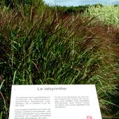 Solignac 87 : Le château de la Borie , une balade pour petits et grands