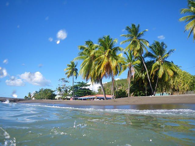 Album - Martinique 2010