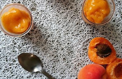 Sorbet à l'Abricot et au Miel de Fleurs