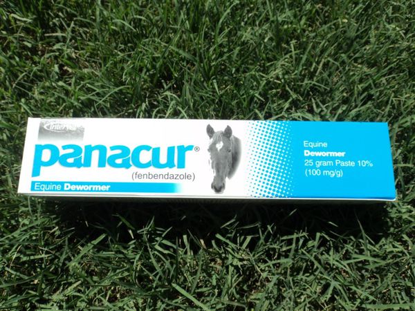 Panacur (Fenbendazole) animal de-wormer