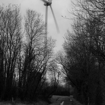 Le Dieu Eole au bout du chemin...