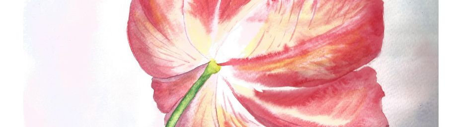 Aquarelle: tulipe