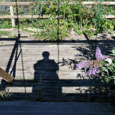 Le syndrome de la page blanche..