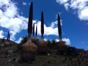 Small towns or hiking spots in the mountain, great spectacle !