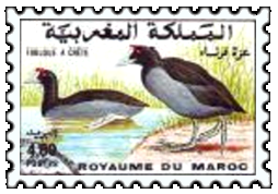 timbres-oiseaux