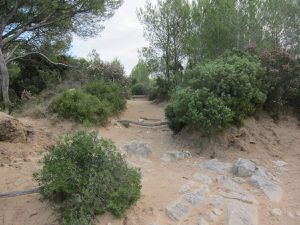 Boucle : Port de la madrague - domaine de la martelle - dune de sable - chemin des vignes - calanque de port d'alon - chemin du littoral -pointe Fauconnière -pointe du grenier - Port de la madrague 