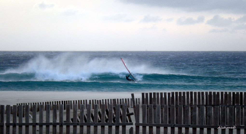 Album - Tarifa-Trip-2011