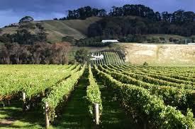 #Blush Producers Hawke s Bay Region  Vineyards New Zealand