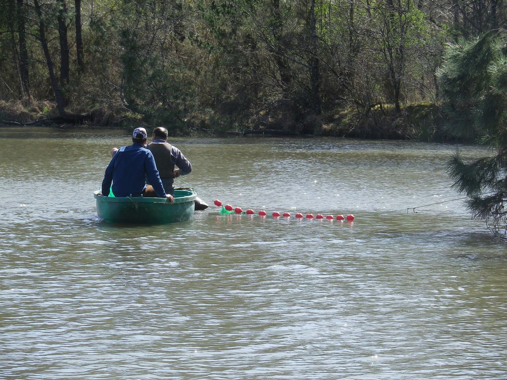 La mise en place dans l'eau des frayères avec les bénévoles au bord pour la logistique. 