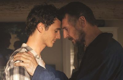 Filme Made In Italy 2020 Online Subtitrat Hd Made In Italy