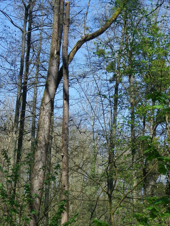 Des photos sur la journée au parc de Géresme de Crépy en Valois