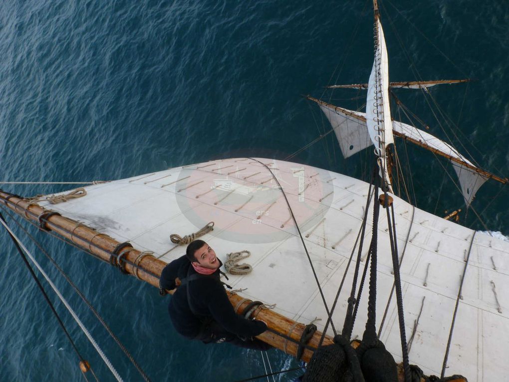 Voici les dix jours durant lesquels nous avons navigué vers Rouen et son Armada. Faisant route plus vite que prévu, nous passerons une demi journée devant l'Ile de Wight et une autre à l'ancre, à l'entrée de la Seine.