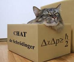 Univers de Schrödinger