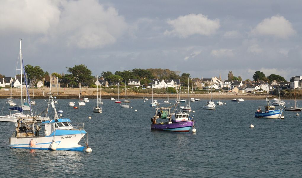 Un des plus beaux sites de Bretagne ! Au bout d'une jolie côte, le GR mène à Port-Navalo ( dias  4 à 8 ) d'où une navette permet de traverser le golfe jusqu'à Locmariaquer. Avant-dernière dia: la pointe de Kerpenhir, d'où l'on a une vue superbe sur Port-Navalo et l'entrée du golfe. 