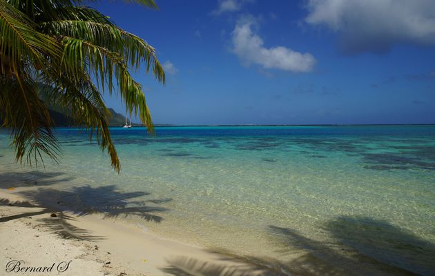 Plage de Mooréa