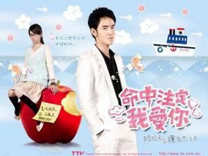 Fated To Love You (drama taiwanais)