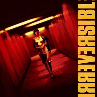 Irréversible - Inversion intégrale: Voir rouge