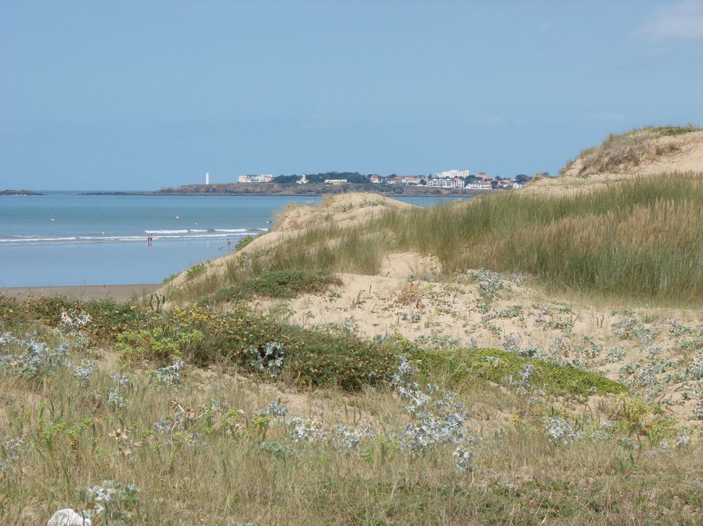 Photos de St Gille Croix de vie, la grande plage, ses ports, les jardins des olfacties à coex, la corniche vendéenne à St Hilaire du Riez et ses criques , coucher de soleil sur le remblai, les bords de la sèvres, le parc floral de la Cour D'Aron