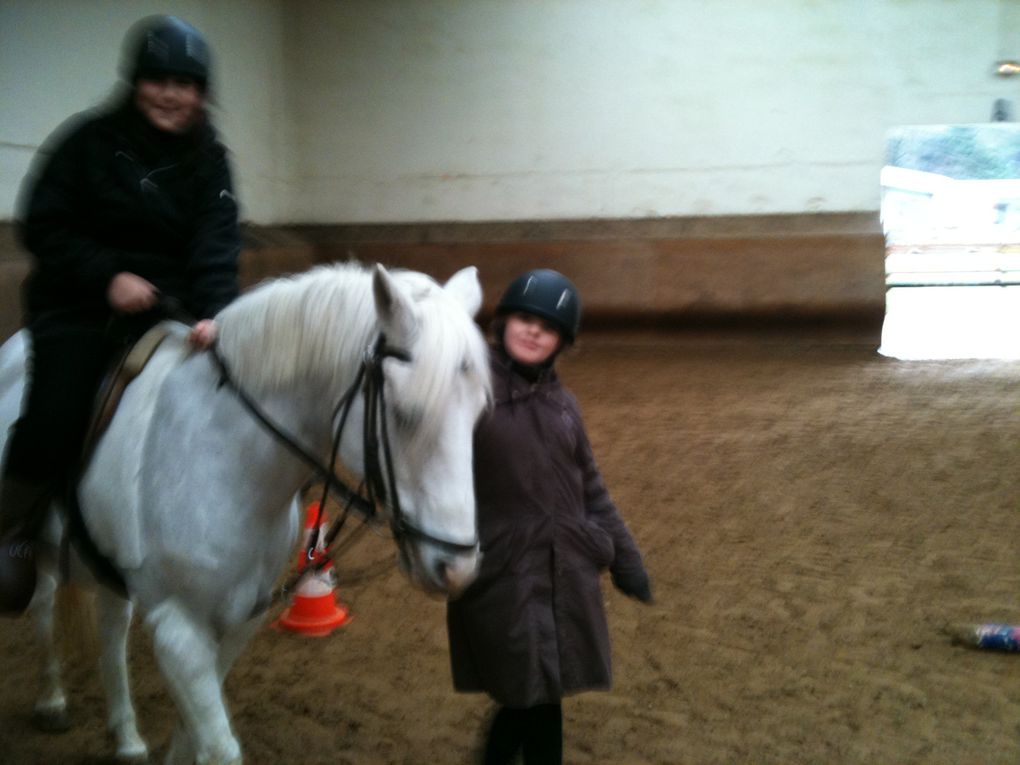 Les élèves de l'école Louise Michel et leurs poneys...