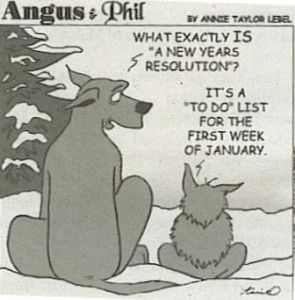 Bonnes résolutions