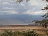 Cratère du Ngorongoro - autour de l'aire de pique nique