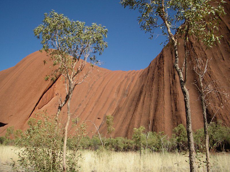 Album - The-Ultimate-Oz-Experience-2--Outback--The-Olgas---Ayers-Rock---Kings Canyon