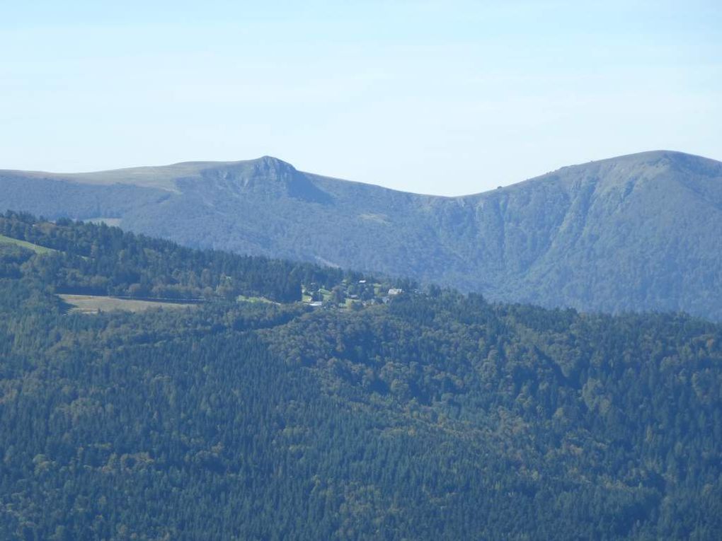 Diaporama : genévriers sauvages et vues sur la grande crête vosgienne (massif du Hohneck).