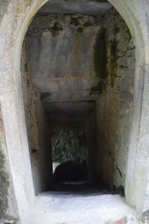 Muckross Abbey