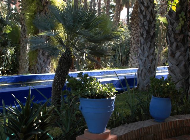 Album - Le-jardin-Majorelle