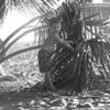 Un dimanche à la plage et en photos