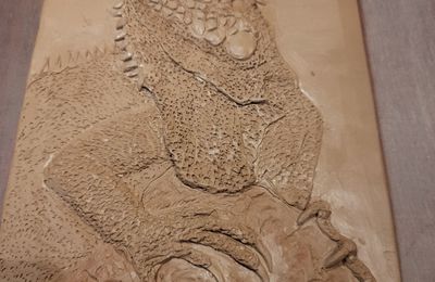 Bas-relief d'Iguane