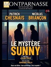 Le Mystère Sunny - d'Alain TEULIE