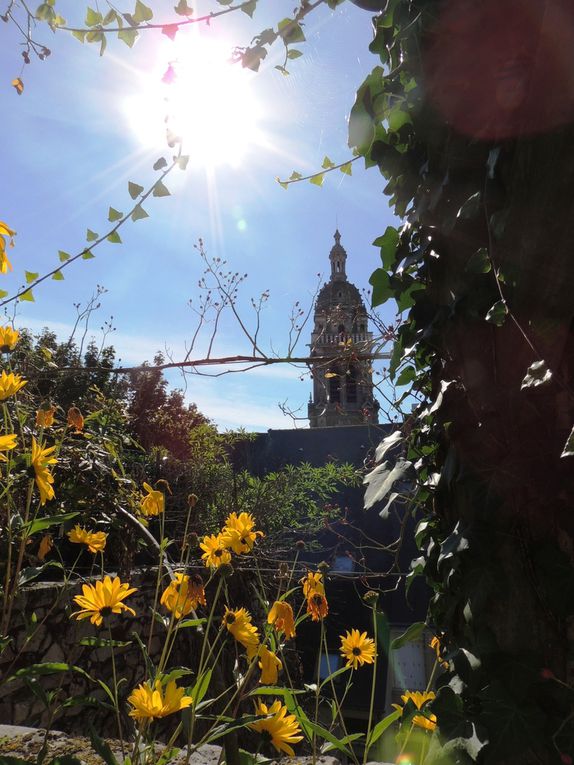 Entre cours et jardins : mignonne, allons voir si la rose...