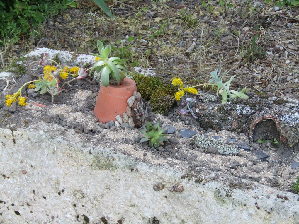 Pendant le confinement, un jardin de Fées est apparu...