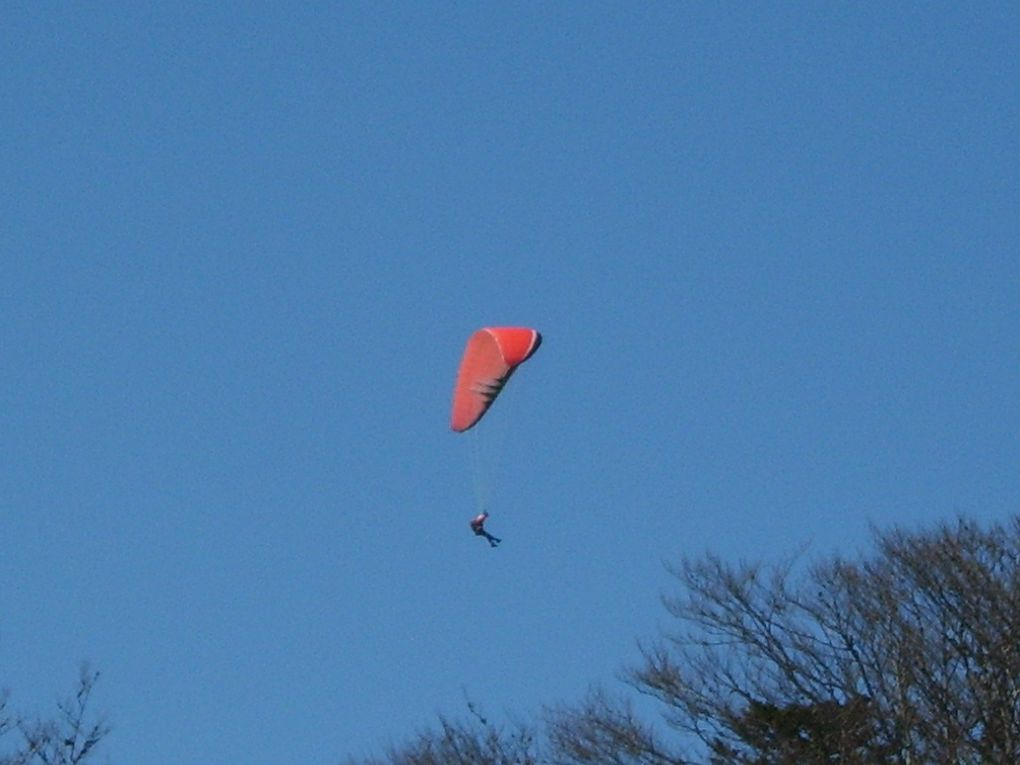 Parapente