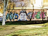 GRAFFITIS DU MONDE