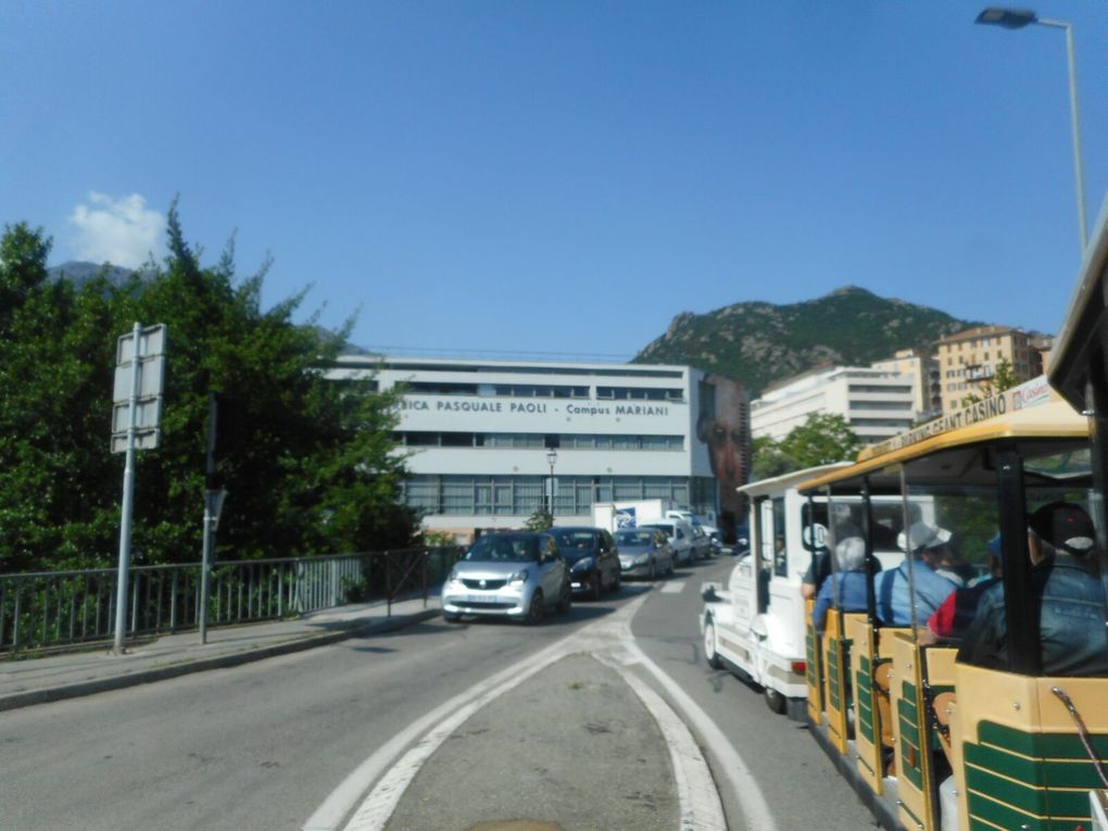 Corti.