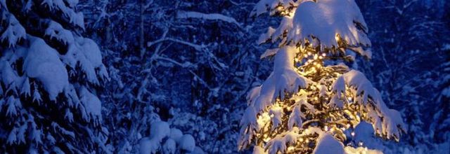 C' est noël ce soir !