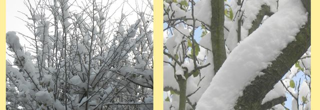 DICTON: froid à Saint Eloi