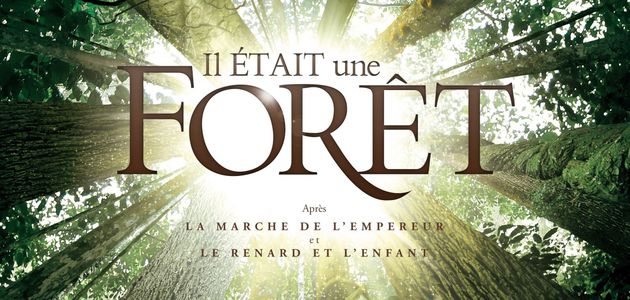 L'AUTRE SORTIE DE LA SEMAINE : "IL ETAIT UNE FORET"