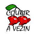 COURIR A VEZIN