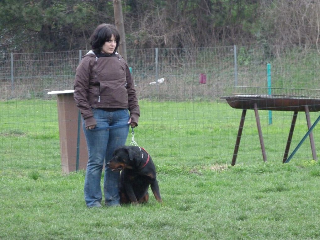 Mon amour, mon bébé, adopté à l'âge de 4 ans et avec une première histoire difficile, il nous rends chaque seconde la vie qu'on lui offre aujourd'hui.
il a 7 ans et je pratique avec lui la discipline "obéissance" en club