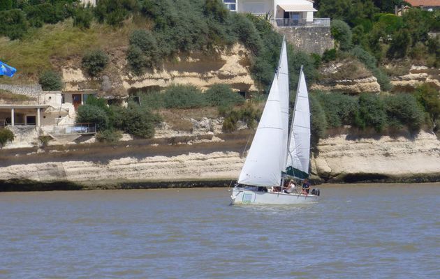 Une virée en mer à bord de "La Croisière Côte de Beauté".