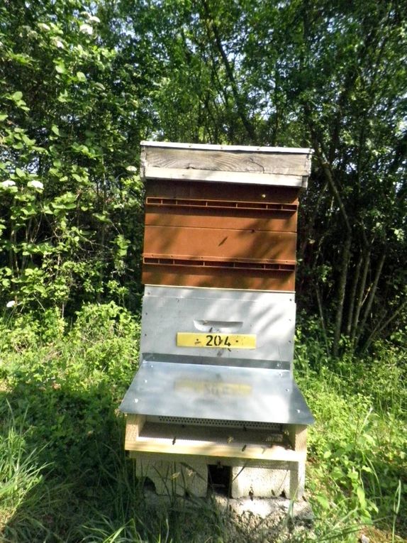  
les matériels que nous utilisons  pour l'exploitation apicole