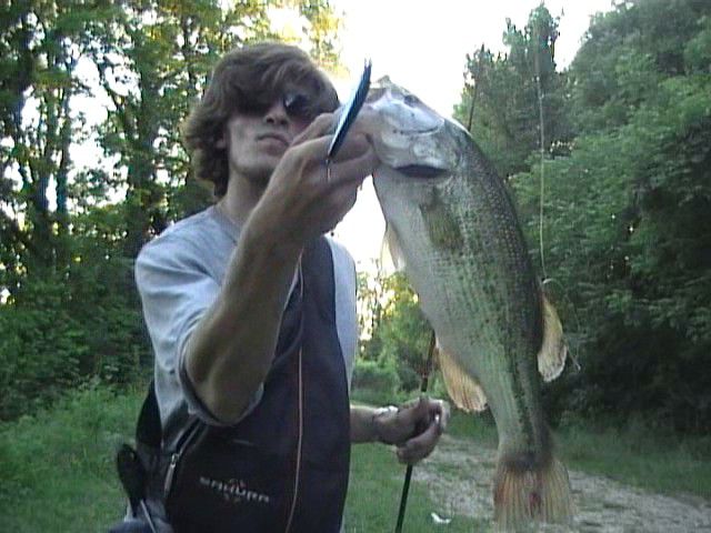 Une séléction de photos de black-bass bourguignons ! Manque hélas quelques gros pépères !