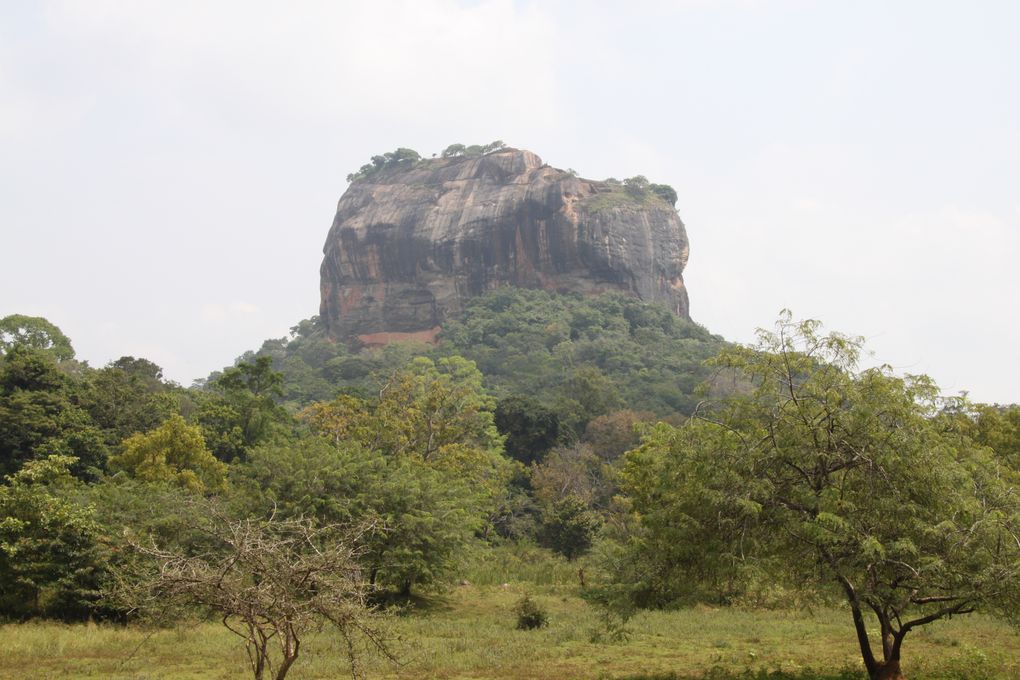 LION ROCK 

il suffit de monter qq marches et en un clin d'oeil vous voila sur le toit du monde!