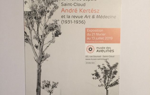 Découvrir la ville de Saint-Cloud et les personalités qui ont contribué à son développement avec l'exposition "La France depuis Saint-Cloud, André Kertesz et la revue "Art et Médecine" (1931-1936)"