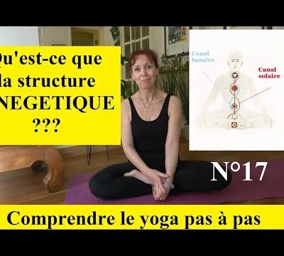 La structure énergétique : nadis et cakras 