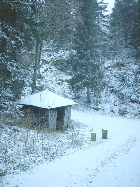 Mes sorties hivers 2006 à 2008 et 2009